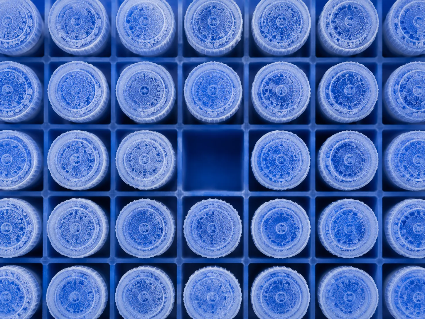 A rack of frozen sample vials seen from above.