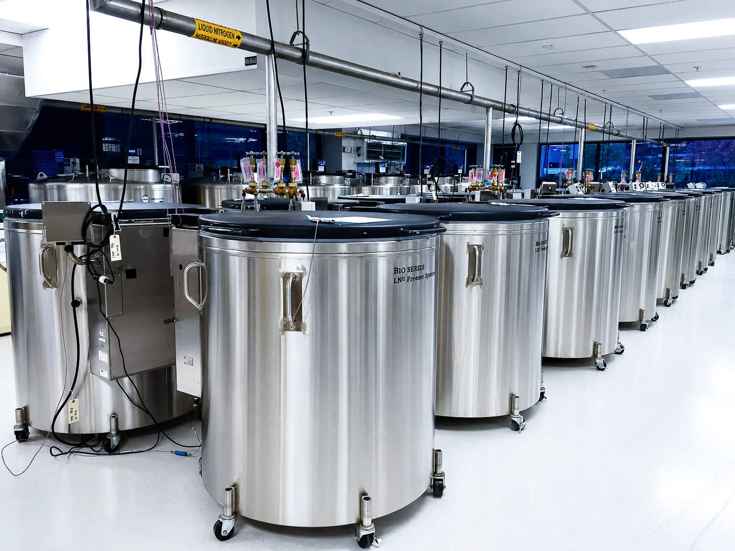 A row of stainless steel liquid nitrogen storage tanks.