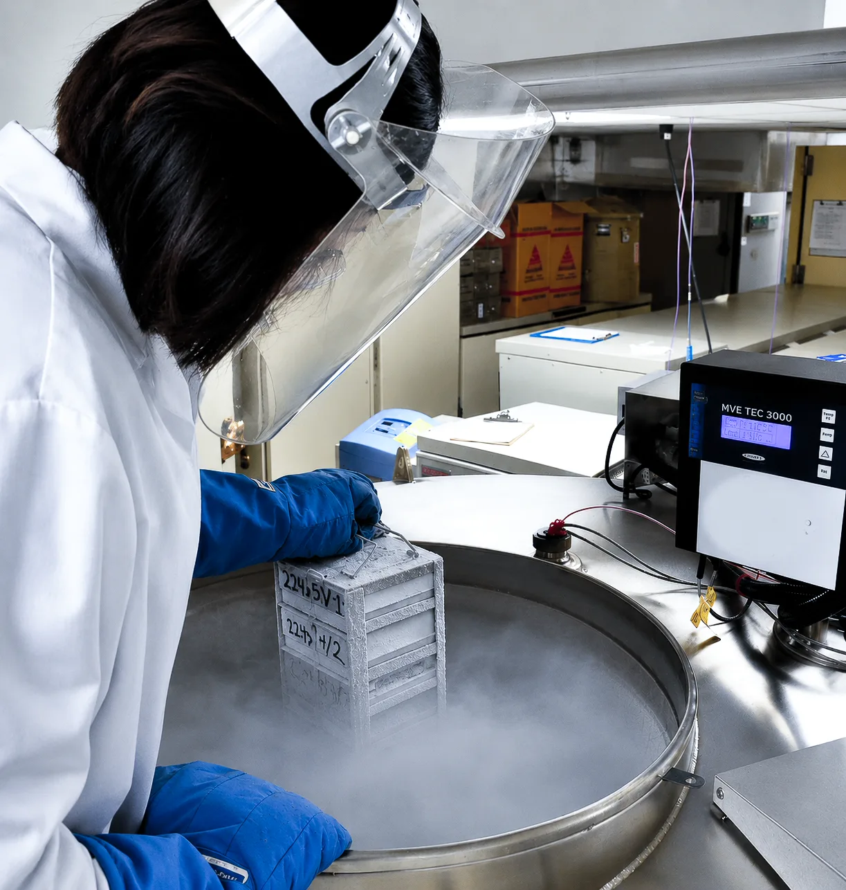 A technician in a face shield and cryogenic gloves lifting a sample rack out of a liquid nitrogen tank.