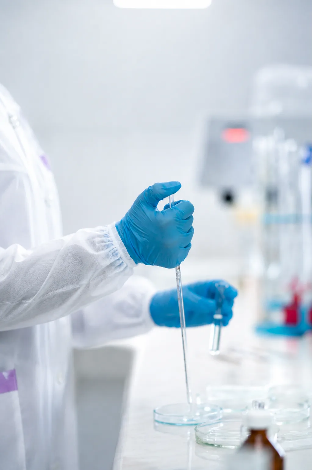 A gloved technician drawing liquid into a pipette over a petri dish.